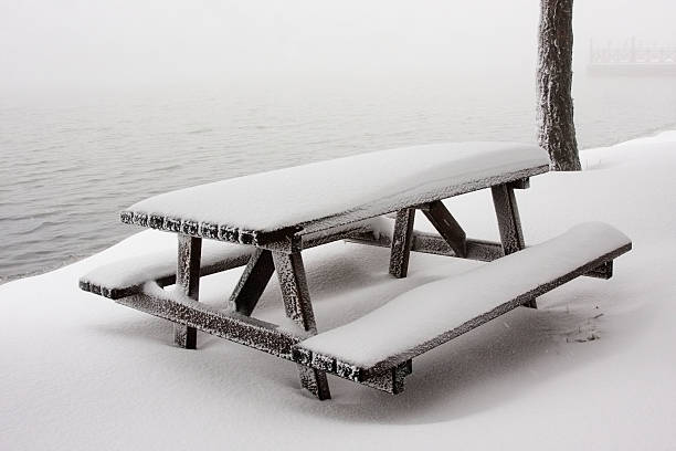 It’s cold—the joys of winter’s swimming clubs.